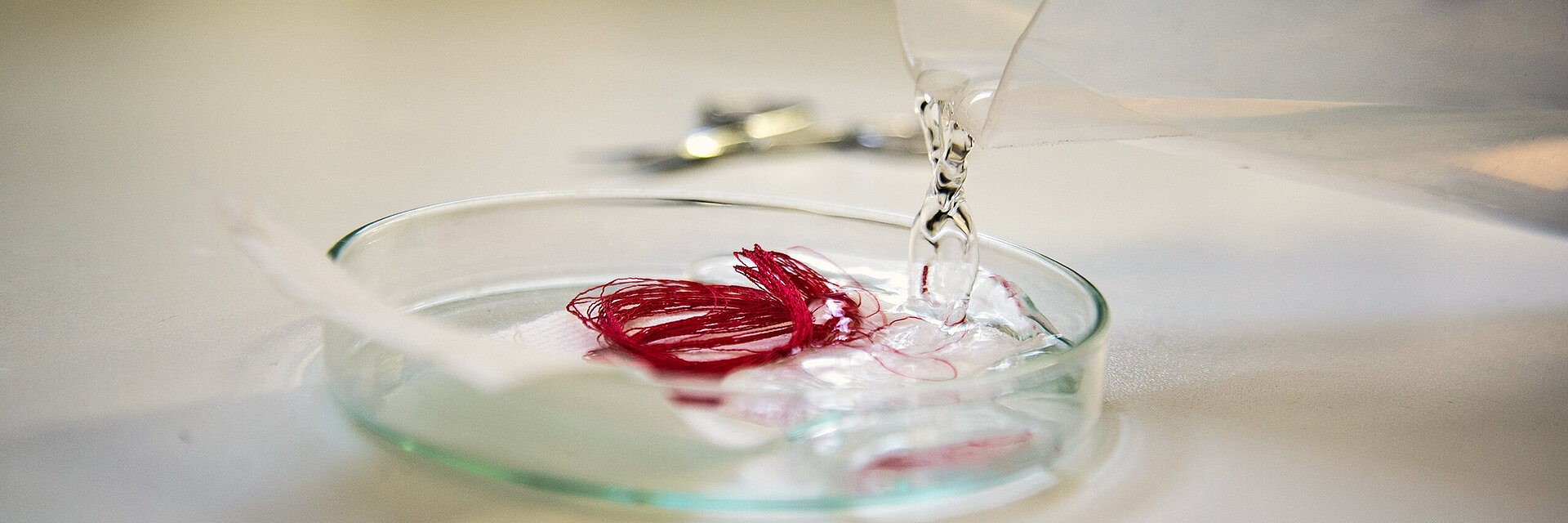 [Translate to Global Französisch:] embroidery thread quality test with red thread in a lab dish