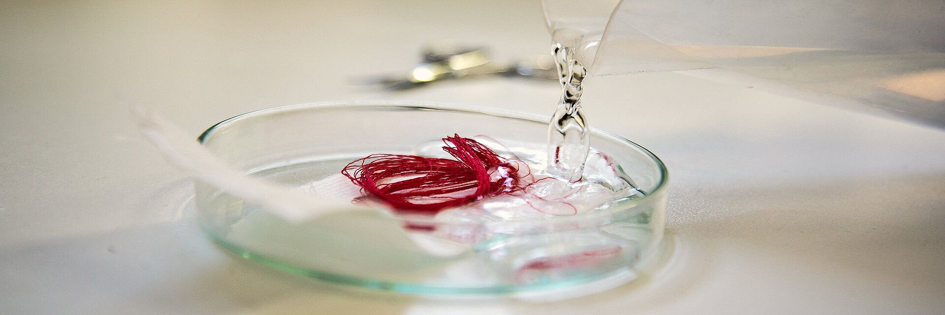 [Translate to Thailändisch:] embroidery thread quality test with red thread in a lab dish